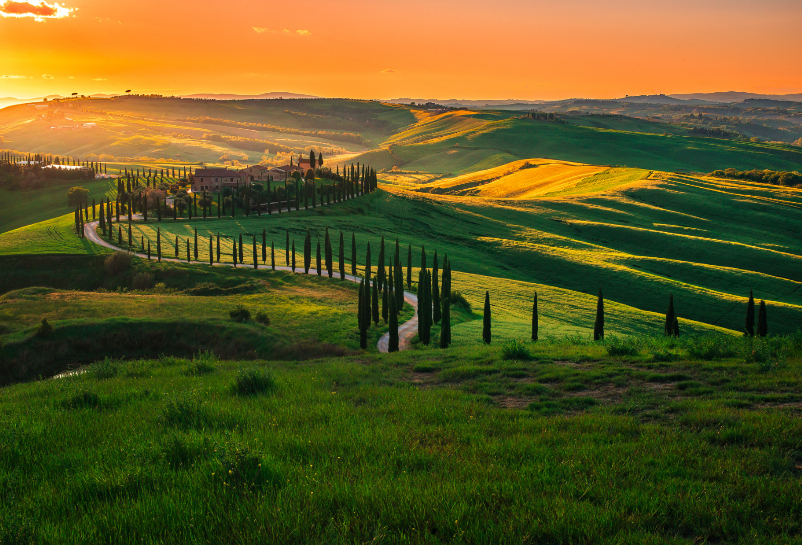 TOSCANA
